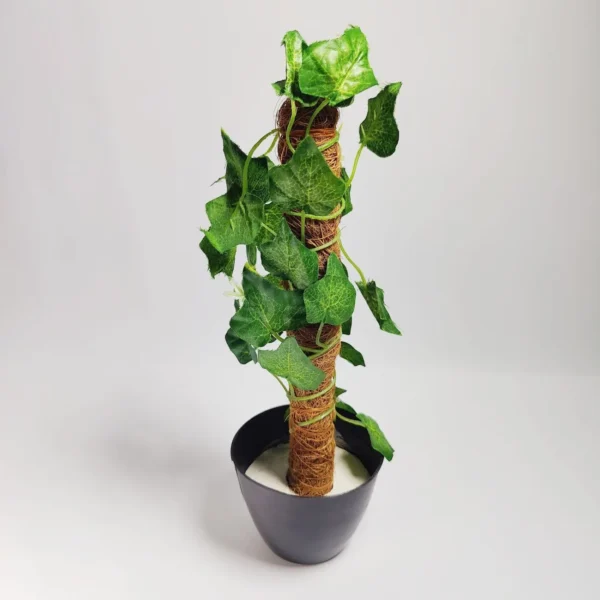 Artificial Money Plant Leave With Coconut Stick Decorative Flowers Plants Best For Home And Office Décoration